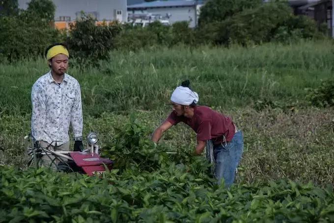 匡威1970s配色最好看的,什么颜色的匡威1970s好看