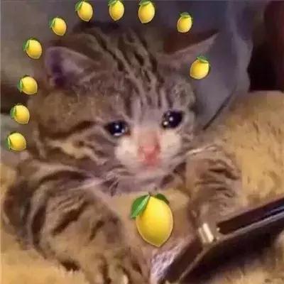 胸大怎么穿搭不显臃肿,胸高的女人怎么穿才好看