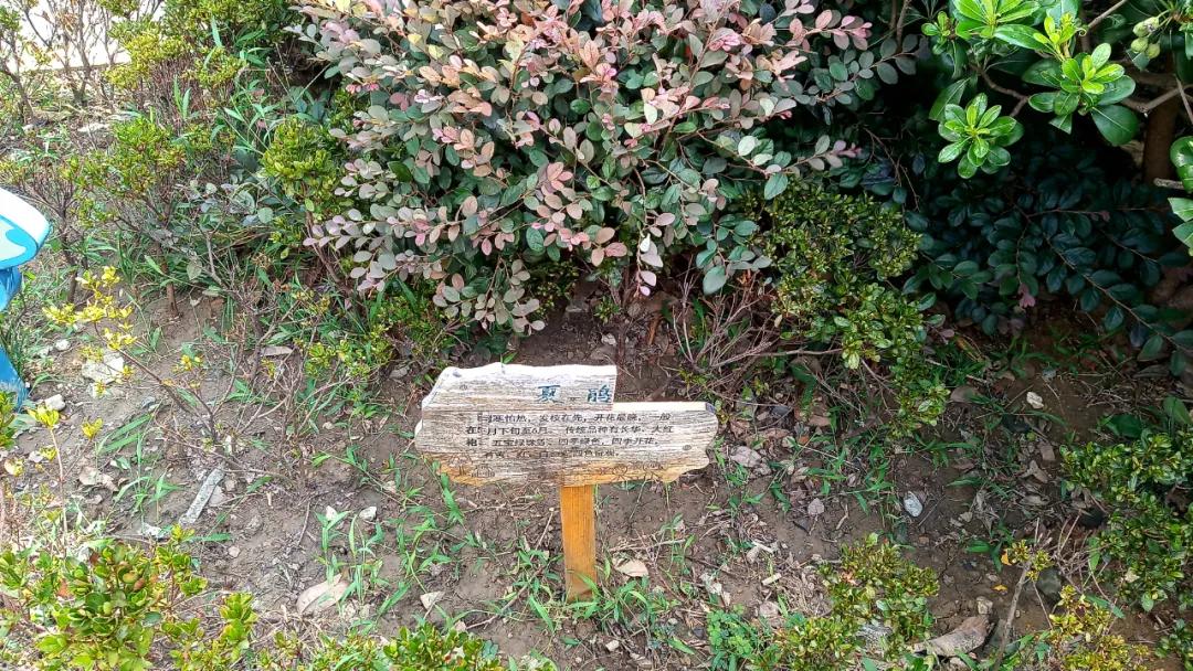 中房和万科物业哪个好,中房物业vs金佳物业