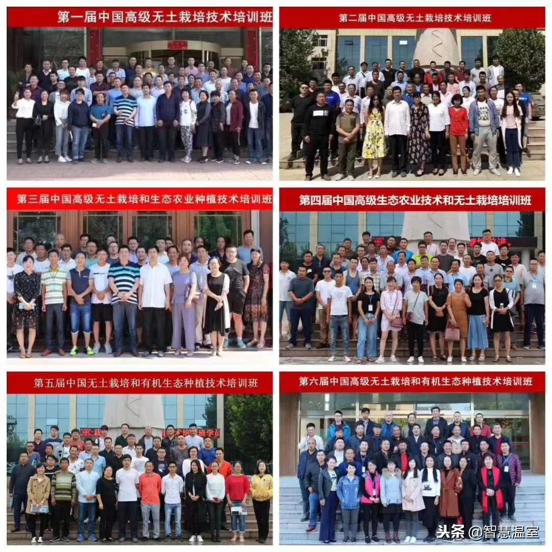 无土栽培蔬菜技术培训寿光,湖北无土栽培技术培训基地