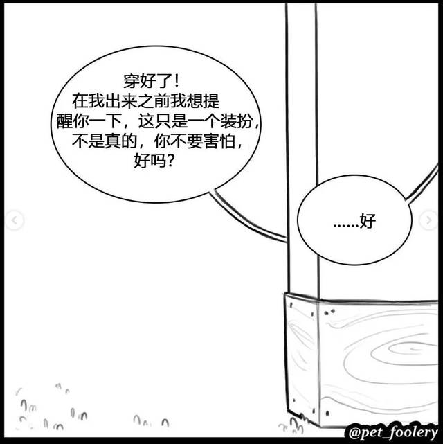 这反差萌也太有爱了，实力宠喵没商量！