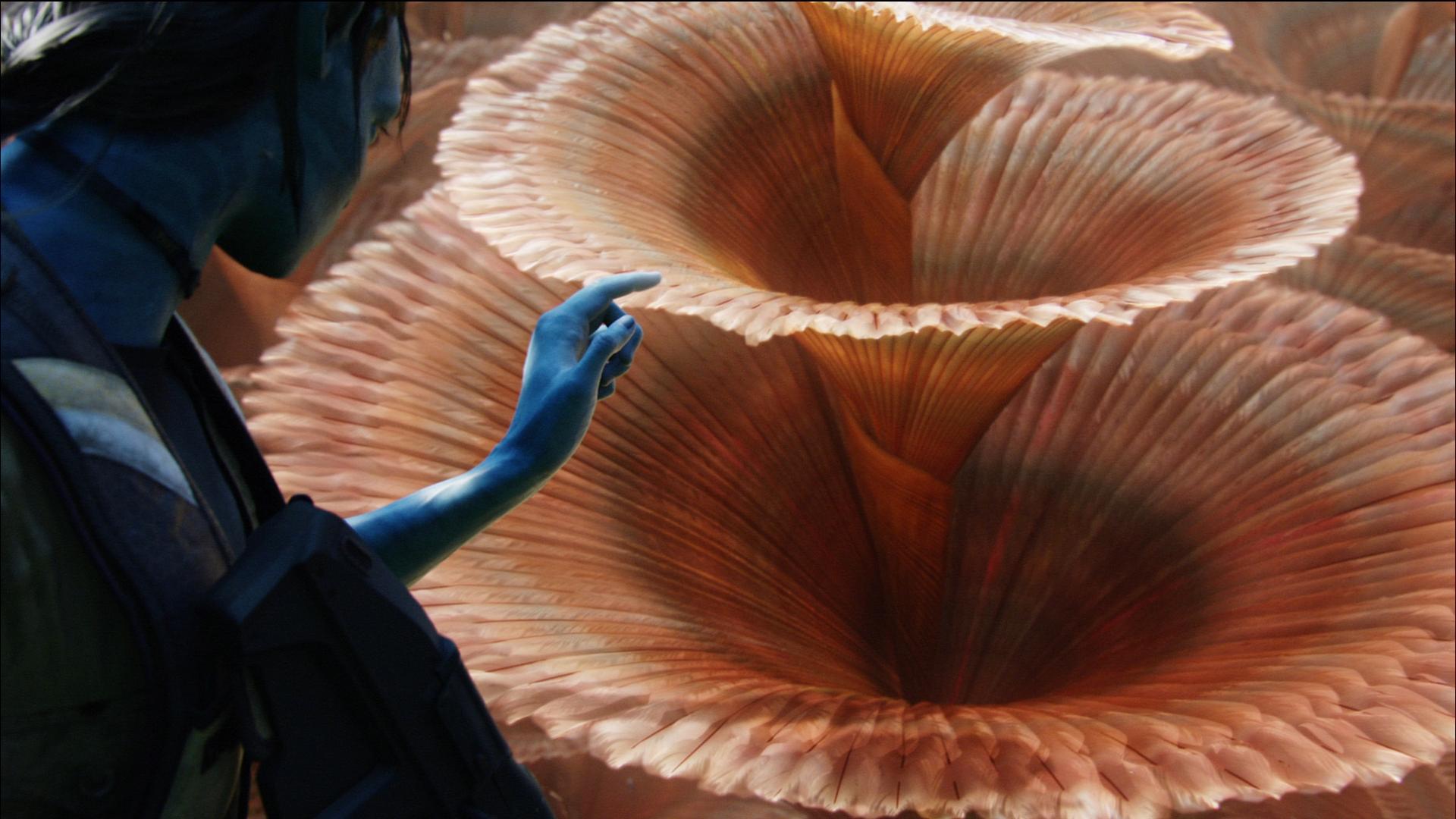 从未被超越完整版,从未被超越