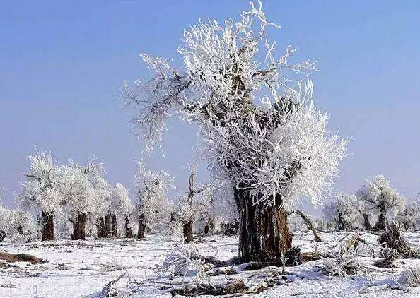 霜降诗词配图,霜降节气诗句及图片