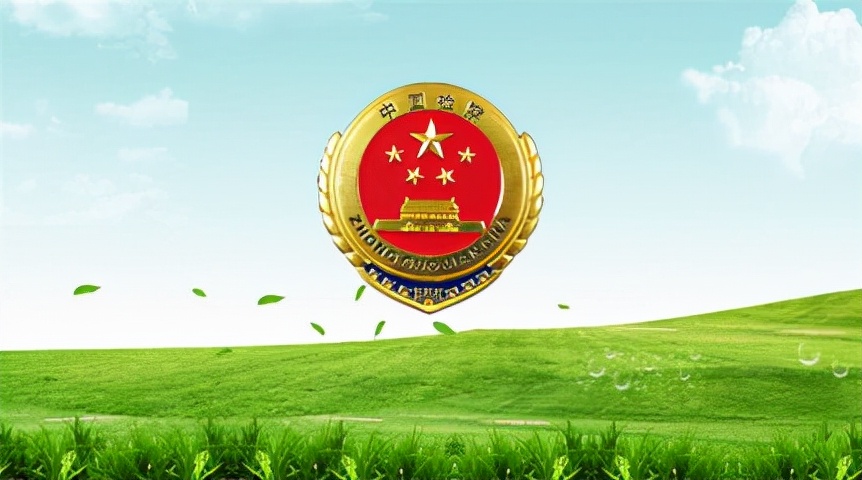 珍稀植物有了“身份证”海南琼中：守护黎母山森林公园获代表肯定