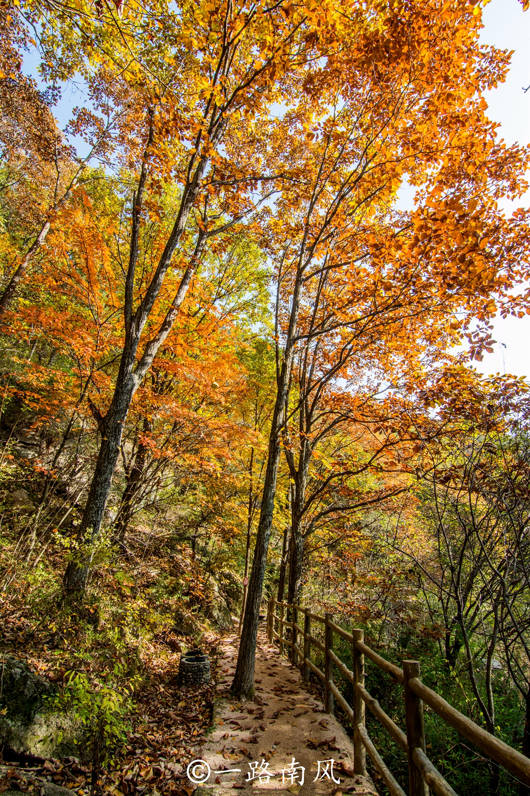 洛阳白云山美成了仙境,河南洛阳市白云山风景区