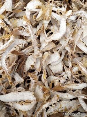 野生笋怎么做成绿色的笋干,毛笋如何制成毛笋干