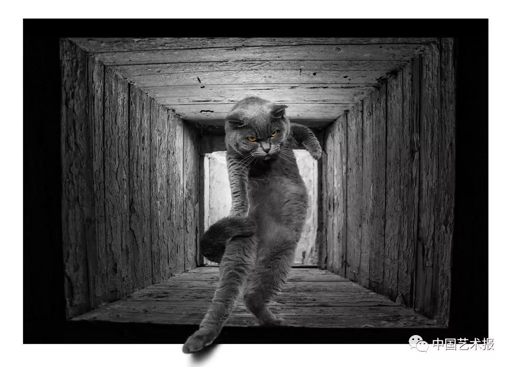 第27届全国摄影展览,第27届全国摄影艺术展览征稿