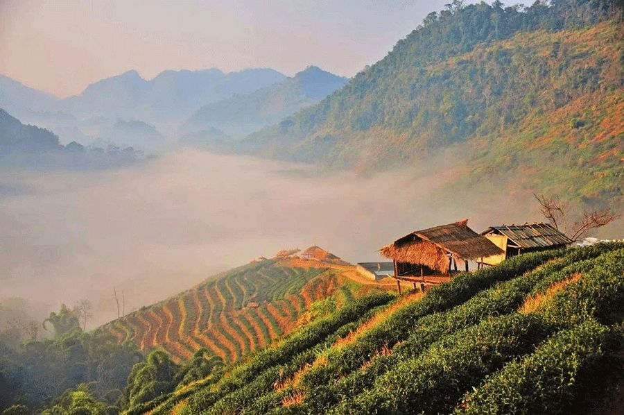 奇妙又有趣的小知识,30个有趣的科学小知识内容