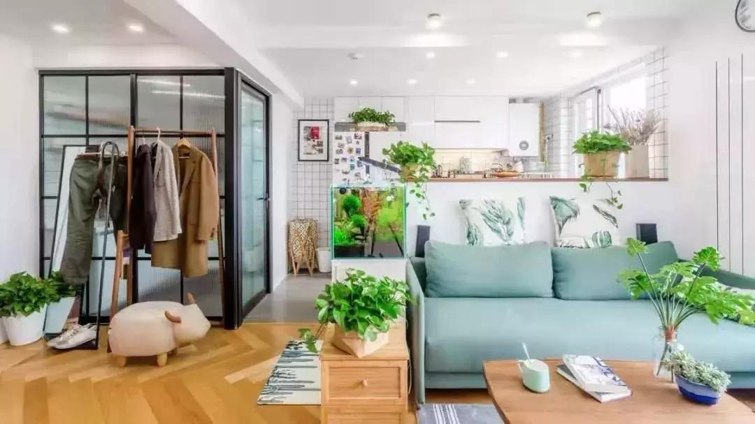 甲醛没处理净容易得什么病,不着急入住的除甲醛最好的方法