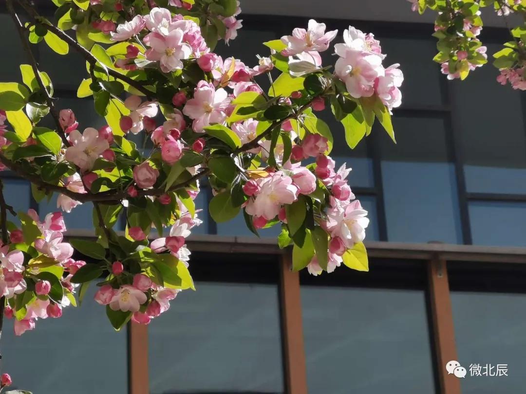 复课在即!快来看看九十六中学、青光中学、普育学校的筹备情况吧~