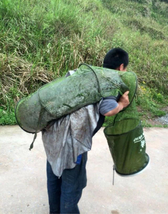 又到钓鲫鱼的季节,冬季钓鲶鱼的最佳时间段