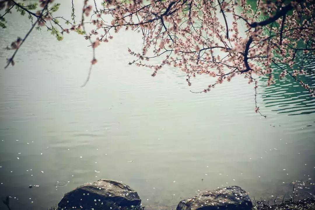 世间最美好的事不过一盘人间烟火,世间最浪漫的事也不过如此