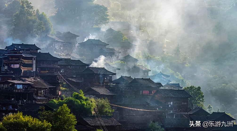 2020年鼠年老鼠,2020年鼠最后的一天