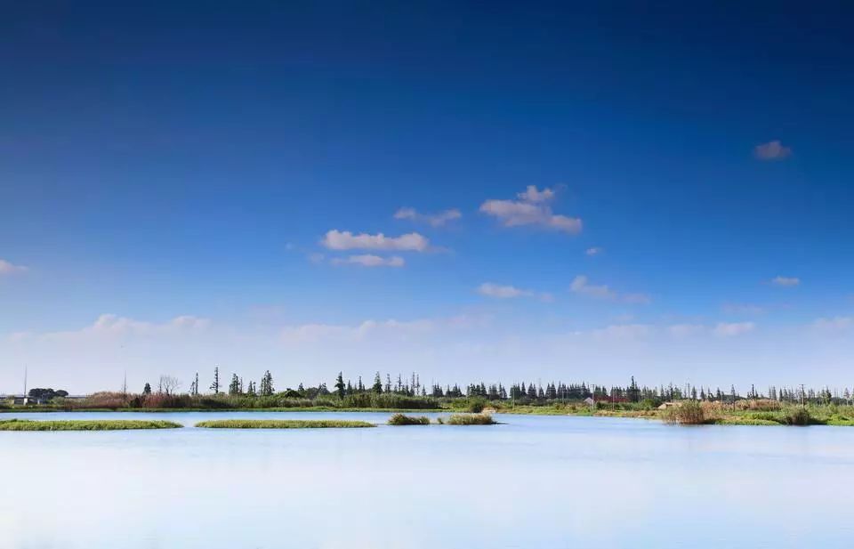 疯狂刷屏！夜晚24:00的上海街头，藏着另一幅面孔…