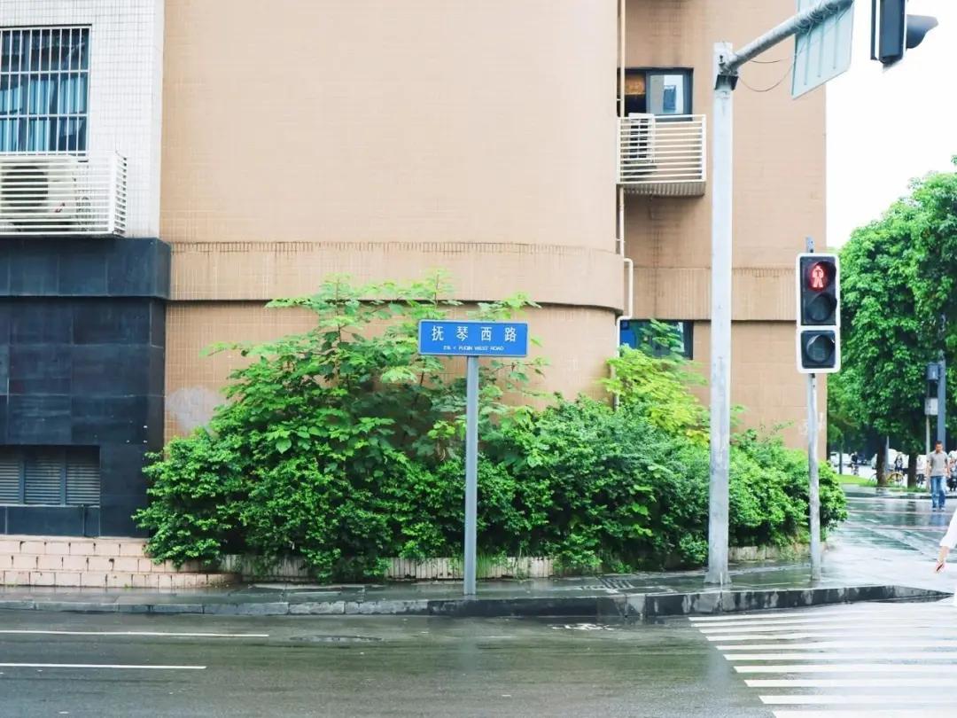 成都街巷志|猜猜母猪湾和猫猫巷在哪儿?