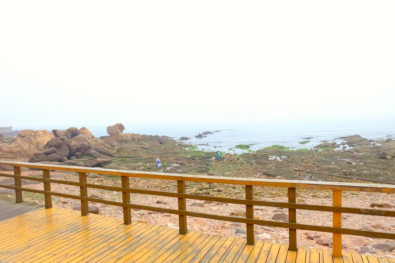 骆驼青岛,骆驼旅行在路上