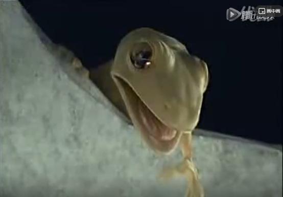 泰国足球广告视频观后感,泰国足球公益广告观后感