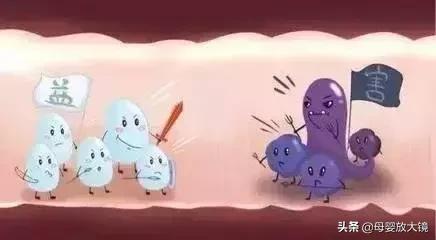 益生菌千万别这么吃,益生菌别乱吃会长胖吗