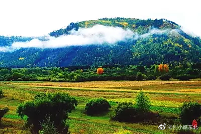 黑龙江省漠河度假避暑胜地,黑龙江漠河旅游风景区夏天多少度
