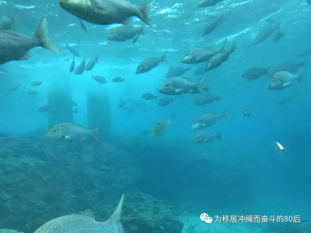 12月份冲绳攻略,想定居日本冲绳怎么样