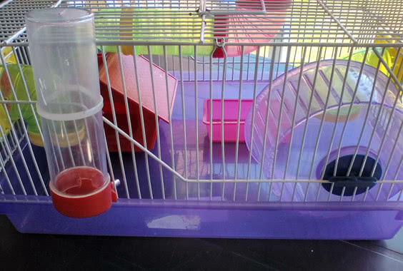 饲养仓鼠怎么选笼子好用,仓鼠冬天笼子可以是铁丝笼吗