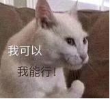 不会颤音可以学意大利语,意大利语大舌颤音发音视频