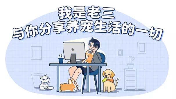 猫狗必备的药,收藏必备药品