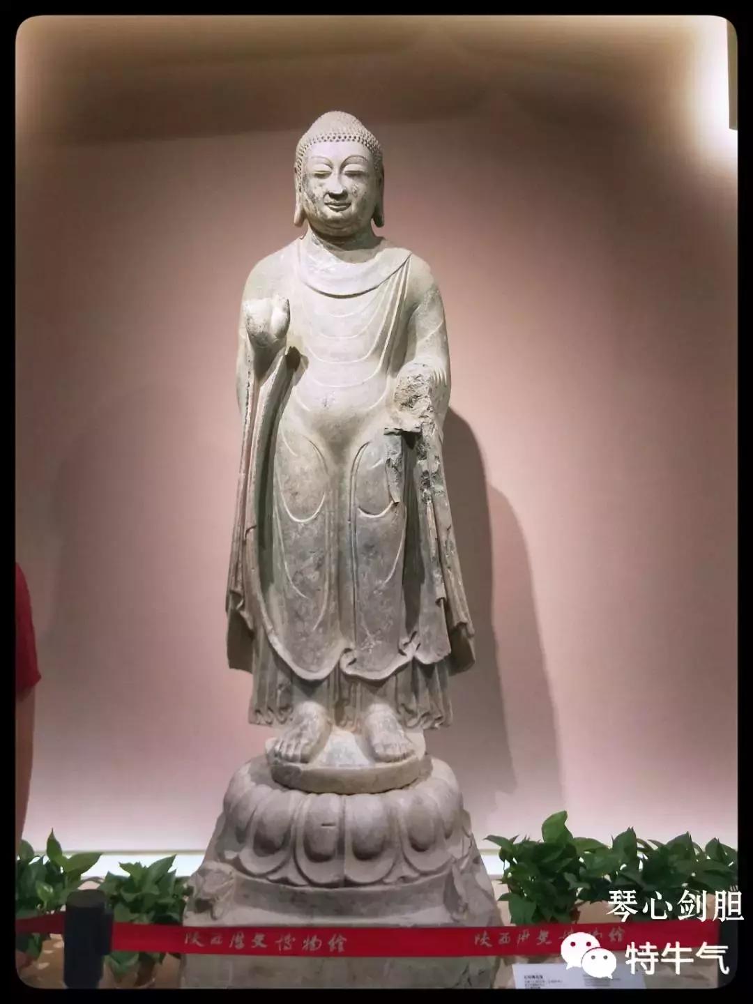 赤金走龙陕西历史博物馆,陕西历史博物馆抢票攻略