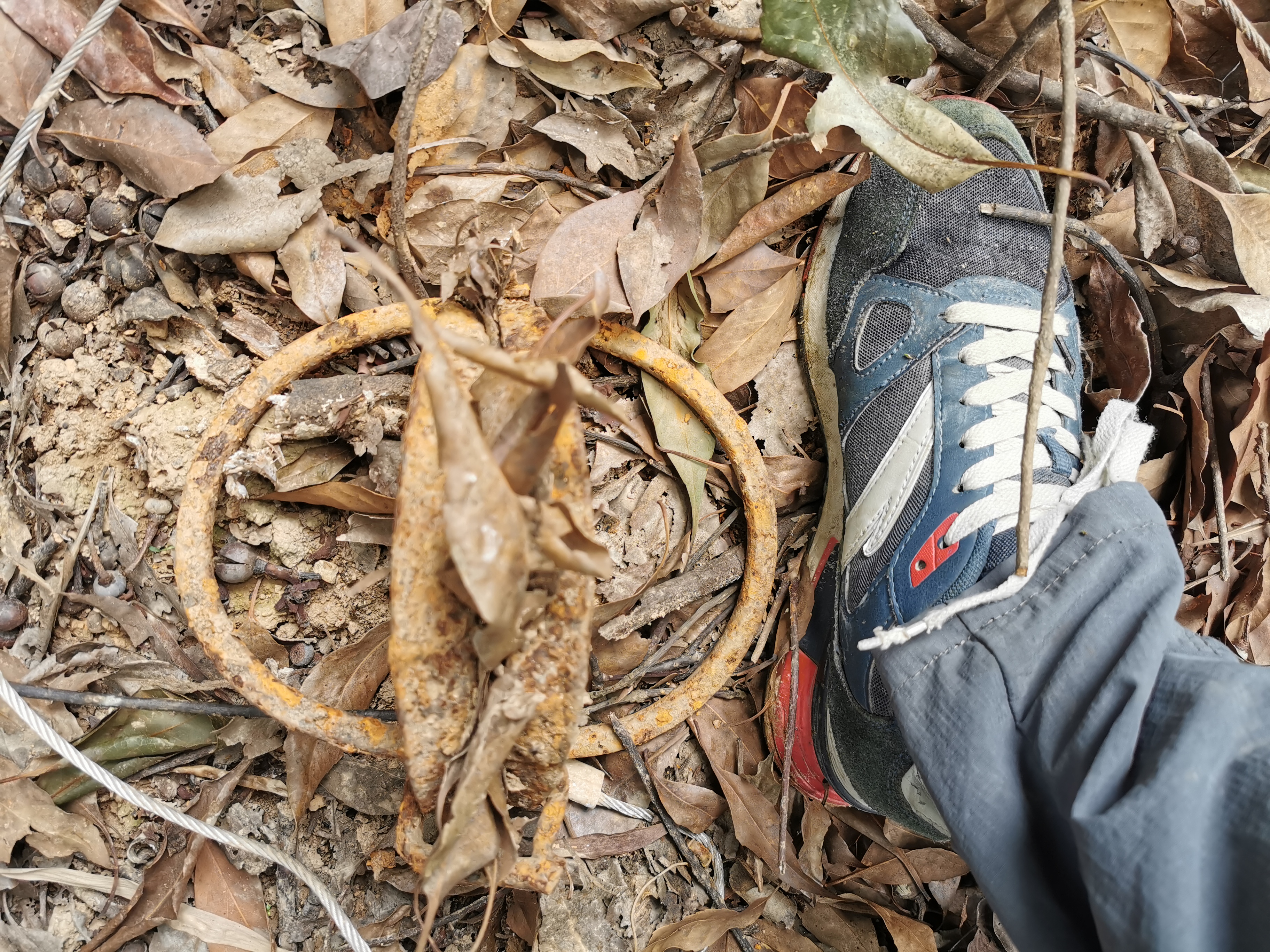 福州周边古道行之：三十六弯—恩顶—竹园岭，偶遇大野猪夹子