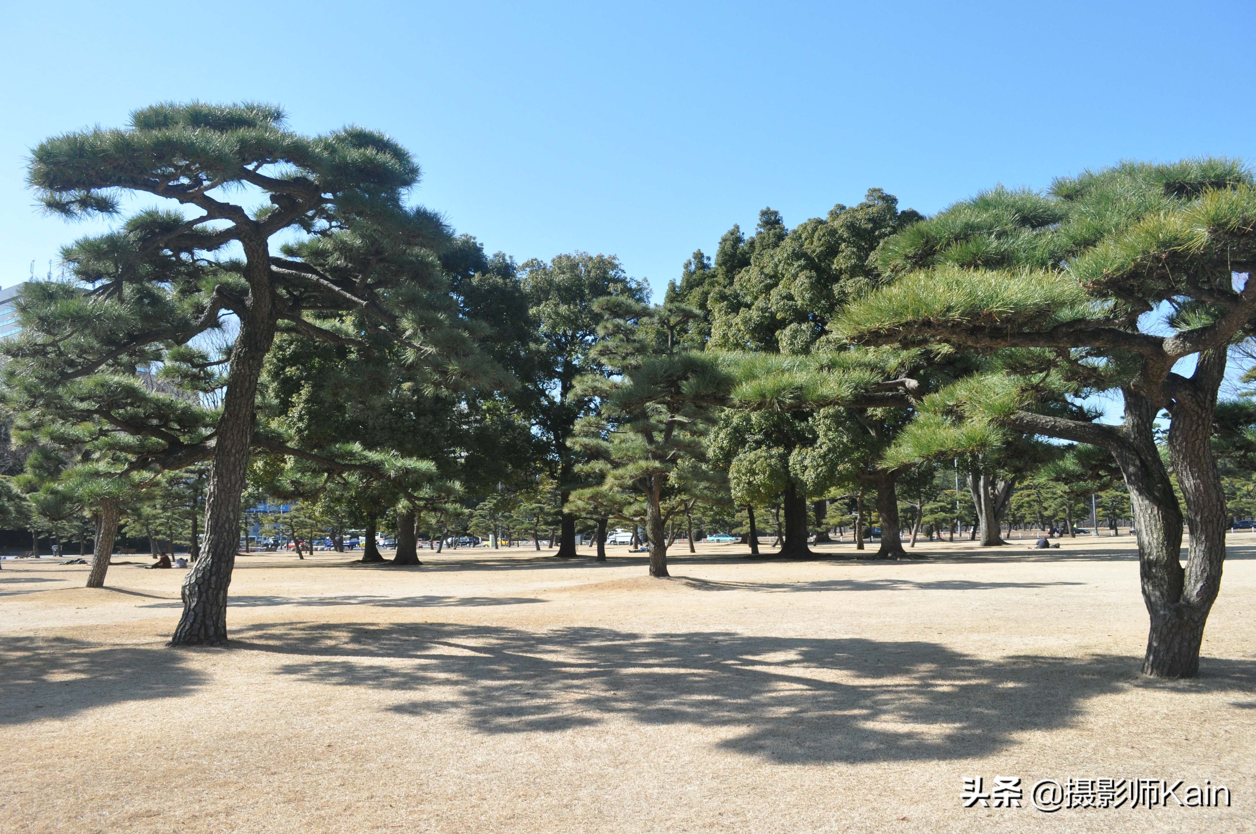 日本东京城市全景,带你看看日本的城市
