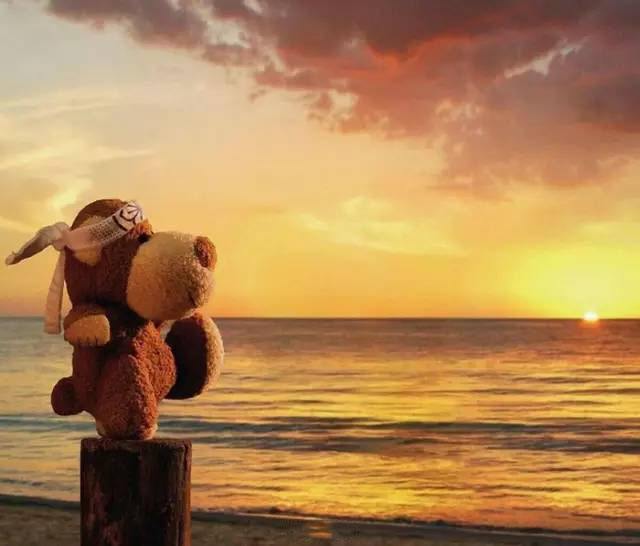 我的人生就像一颗香烟,我的人生就像一颗白菜