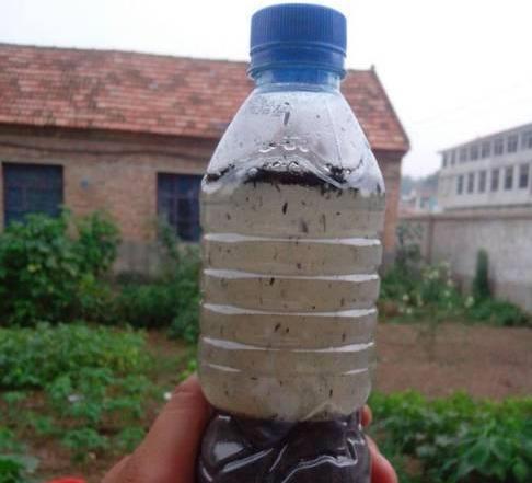 自制灭虫水最好的方法,怎么消灭水虫最有效方法