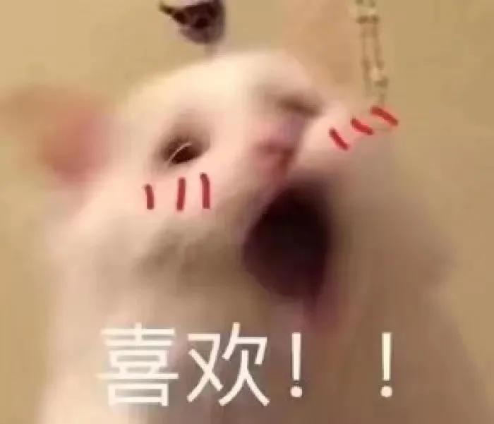 国货深度测评不讲情怀讲实力,片仔癀国货公认最好用的10大面霜