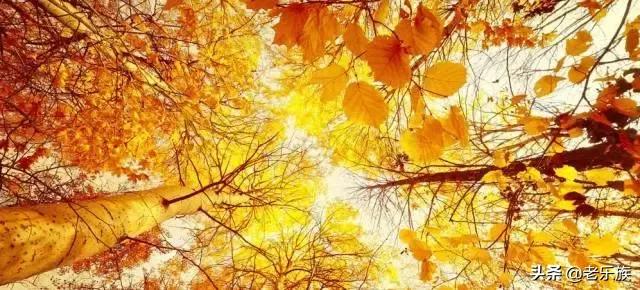 100首才华横溢的经典诗词,公认最有才华的诗