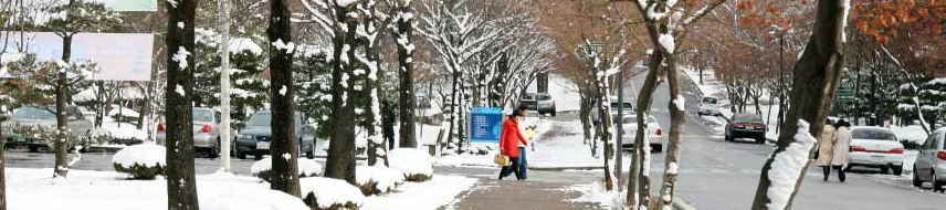 韩国留学带现金攻略,韩国留学生应该如何换钱