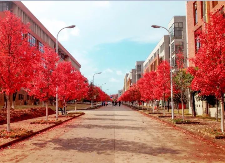 武汉最牛逼的大学有哪几所,武汉公认最好的十所大学