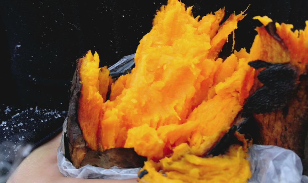 老北京胡同里探秘,探访老北京胡同有意外发现