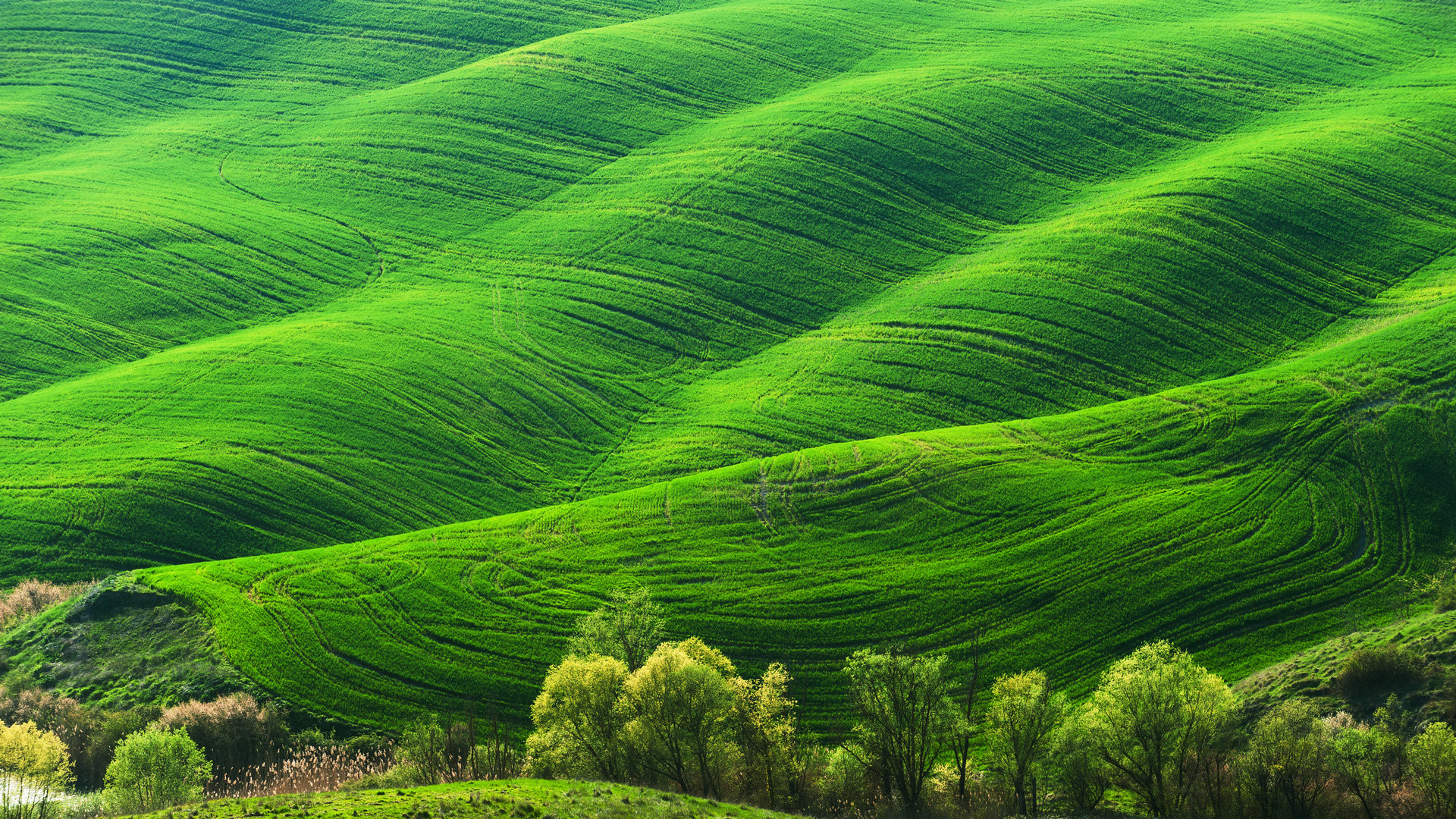 蓝色护眼壁纸唯美图片,最美的护眼桌面壁纸