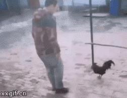 吃火锅搞笑的图片,吃火锅搞笑瞬间