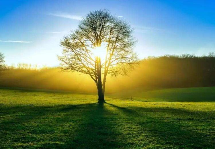 “有钱当没钱花”:村里老人常说的话,回头想想,不无道理