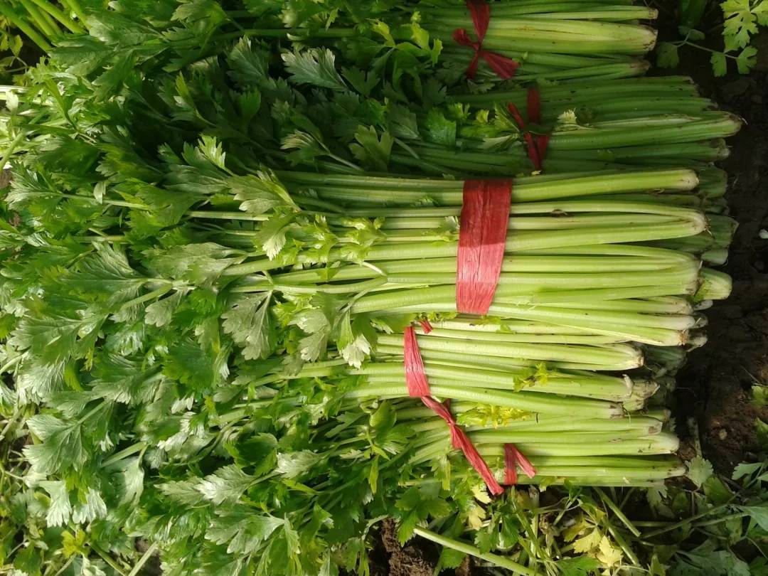 市场监管总局食品不合格通告,市场监管总局公布食品安全不合格