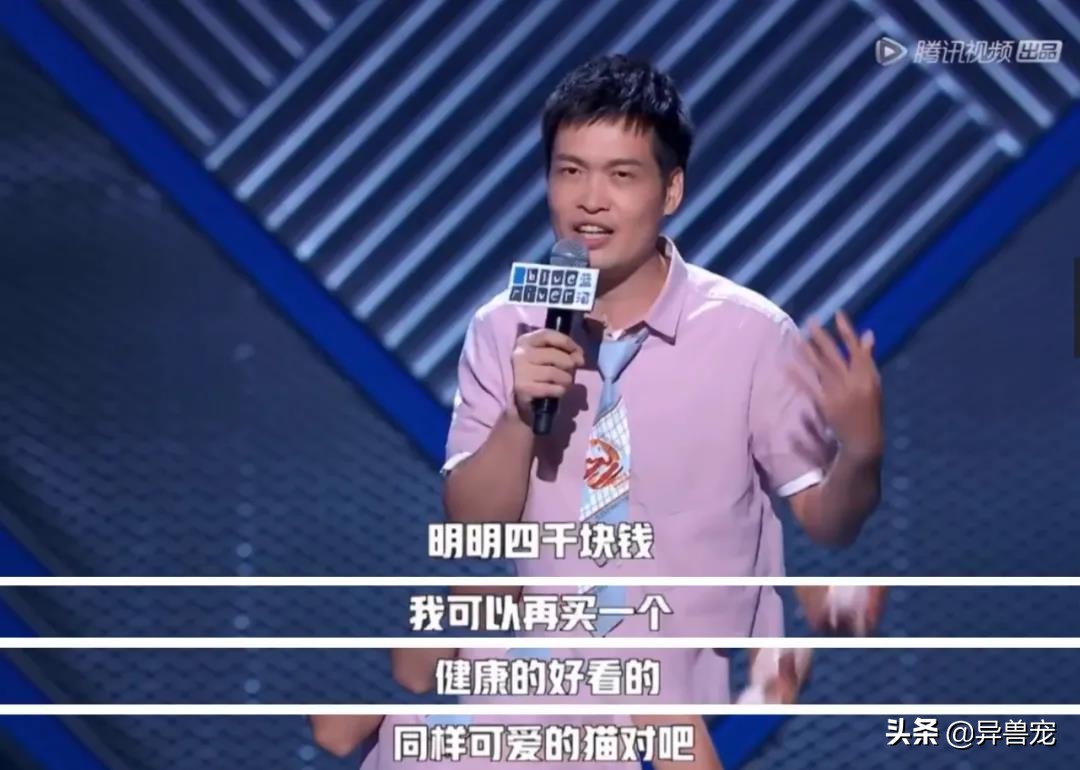 当宠物生病治疗费用太高,宠物生病治疗费有多昂贵