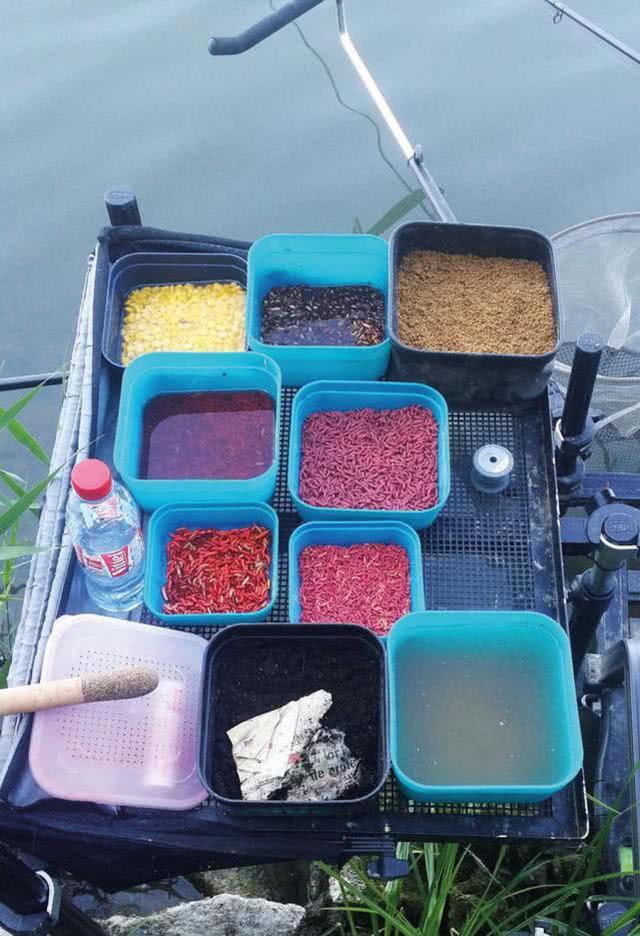 钓鱼鱼饵怎么使用,钓鱼新手三大误区