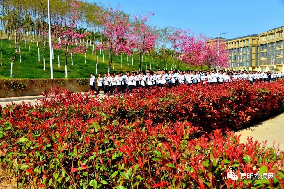 2018年云大附中呈贡高考喜报,云大附中呈贡校区2019高考喜报