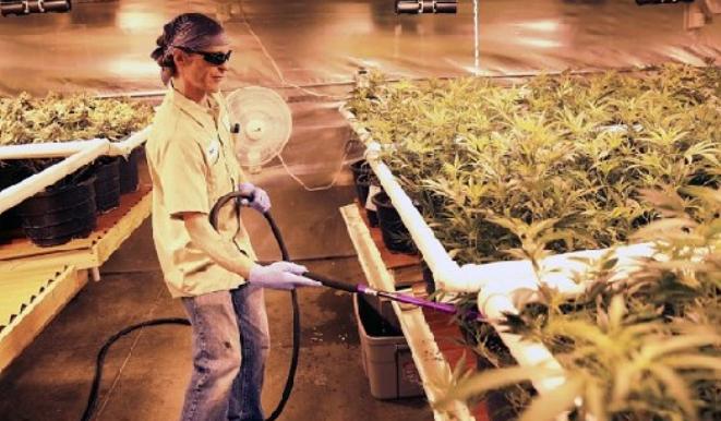 玻尿酸和烟酰胺用在护肤水以后吗,玻尿酸和烟酰胺护肤品哪个好