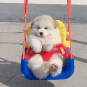 网贷可以跨省贷款吗,网贷可以跨区域放贷吗