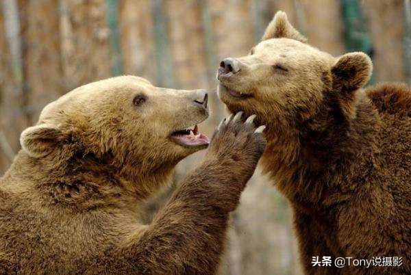 相机多点对焦怎么调,相机测光和中心对焦怎么操作