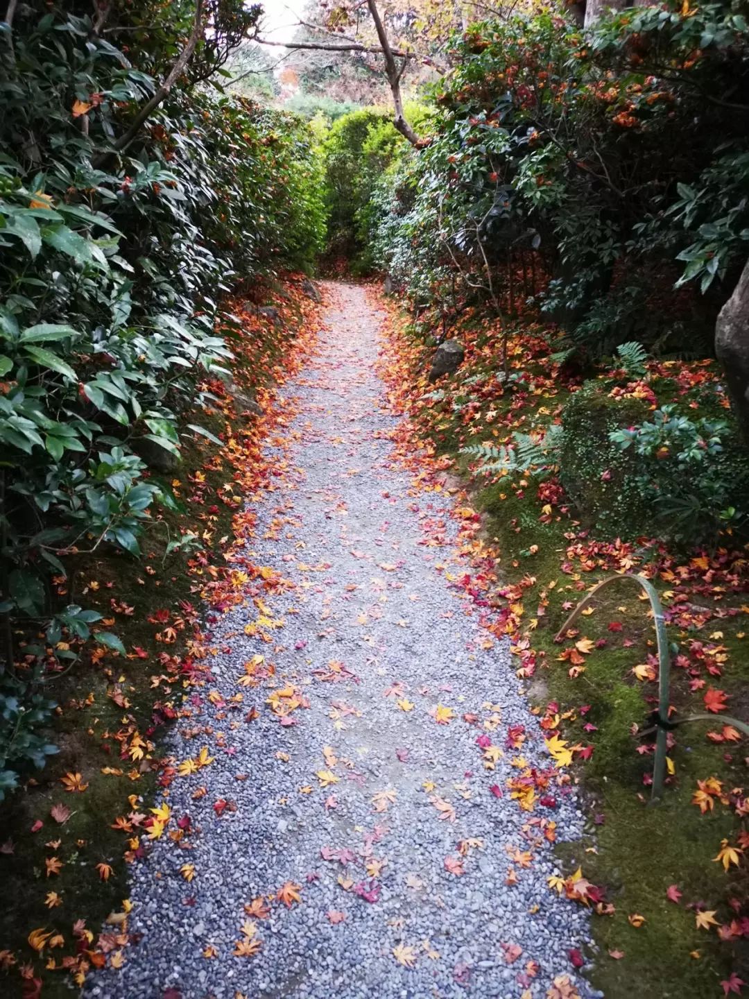 岚山哪有好玩的,日照岚山区值得去吗