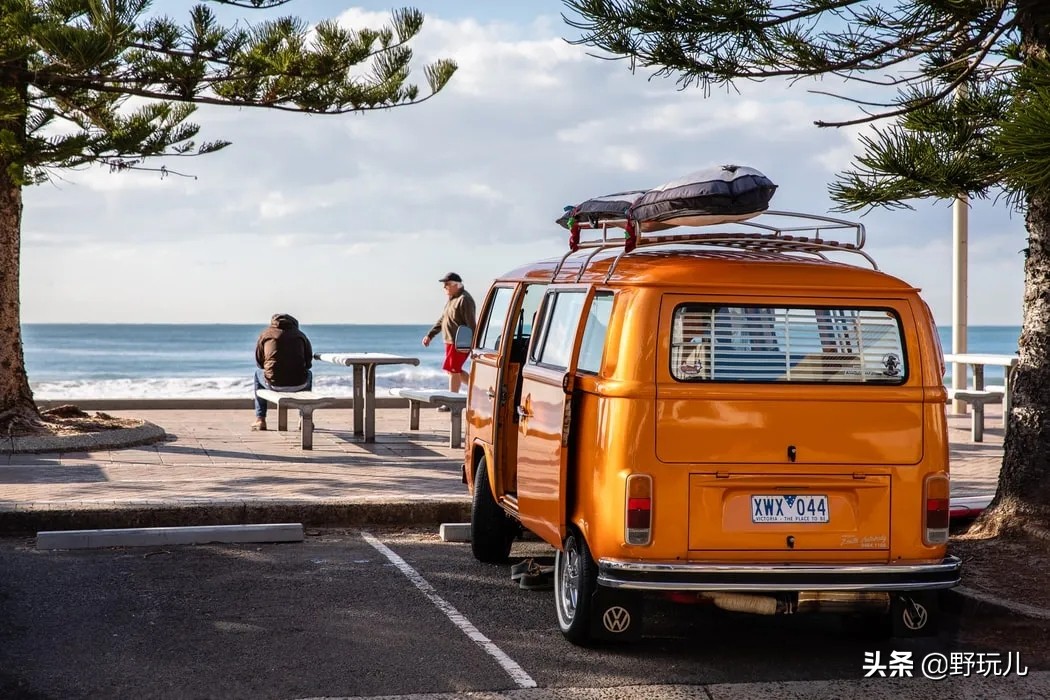 澳洲人的日常，比抢厕纸好玩多了