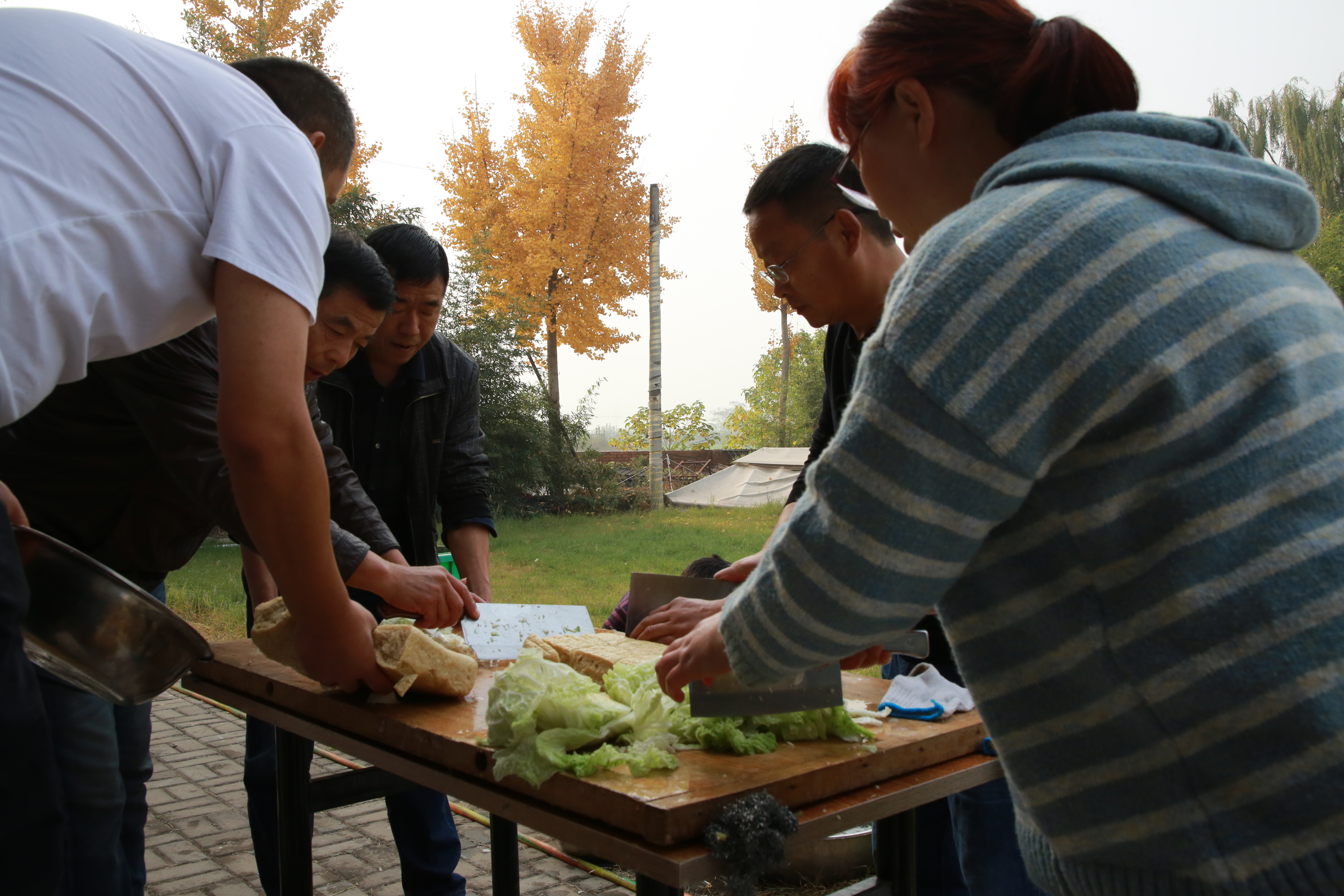 安阳市浩宇农庄,安阳市浩宇农庄怎么样